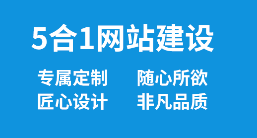 5合1网站建设